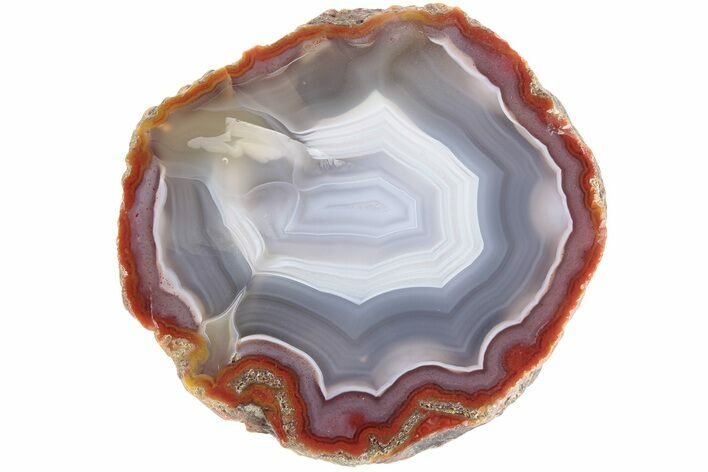 Polished, Banded Agate Nodule Half - Kerrouchen, Morocco #186973